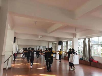 新平縣政府信息公開與文藝創(chuàng)作服務(wù) 提升文化惠民水平的新路徑